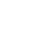 Our Bondada Experience